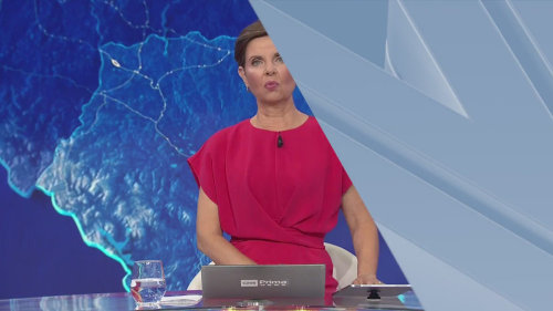 VIDEO: Bouřky zasáhly Česko. Krupobití a silný vítr lámaly stromy