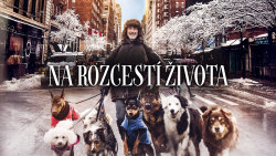 Na rozcestí života