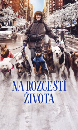 Na rozcestí života