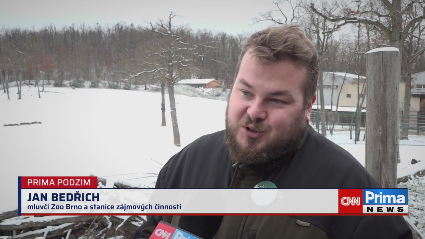 Prima ROK, 12.12. v 15:40 - Prima ROK - CNN Prima NEWS