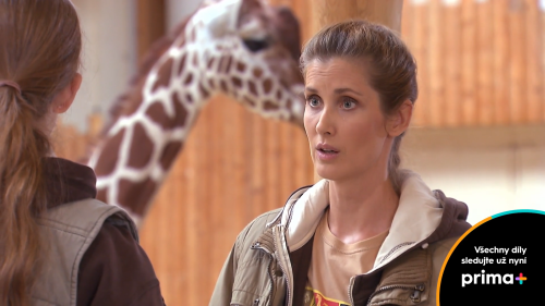 ZOO EXPRES (4)