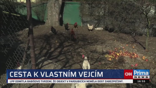 ZPRÁVY Z REGIONŮ, 22.3. v 16:55