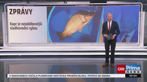 ZPRÁVY, 13.12. v 09:00