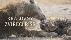 Královny zvířecí říše