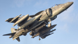 Harrier