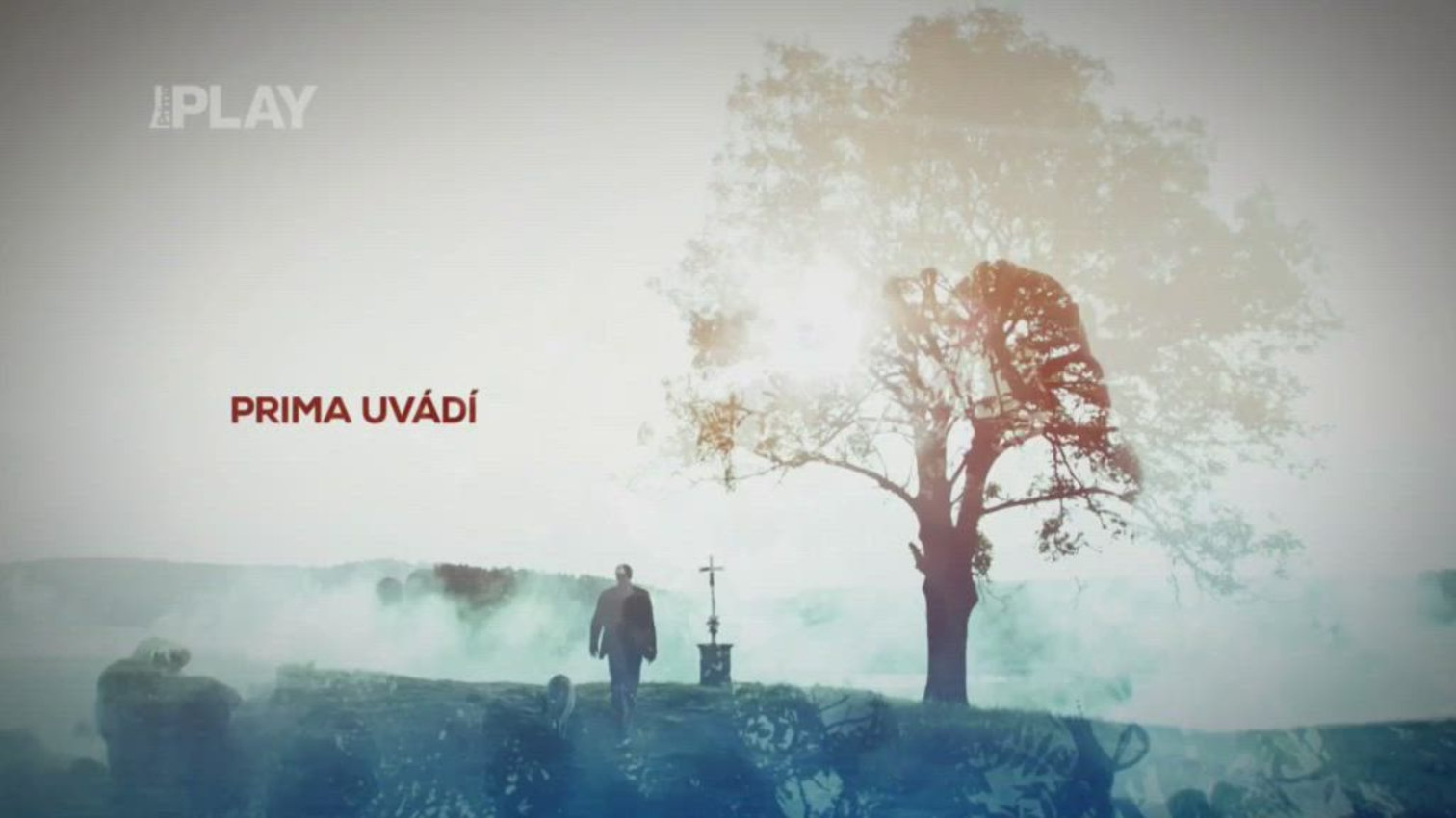 Náhled videa