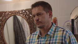 Cesty domů