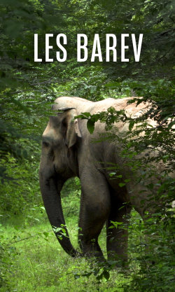 Les barev