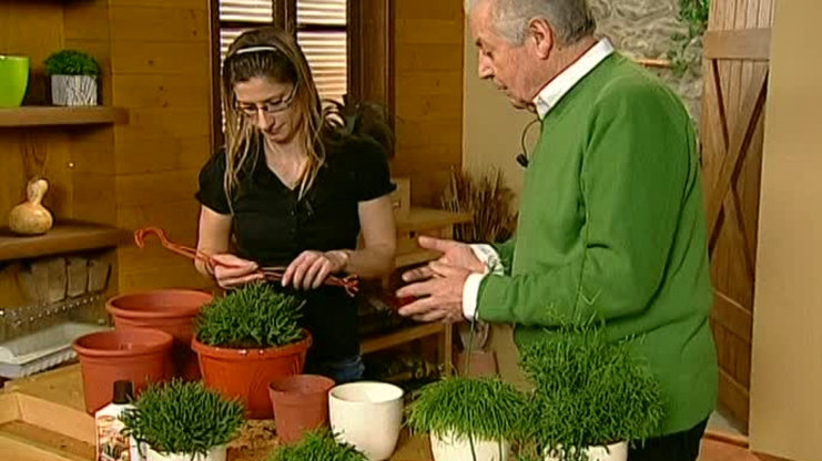 Receptář prima nápadů 2009 (5)