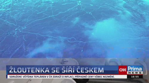 ZPRÁVY Z REGIONŮ - 21.11. v 16:55