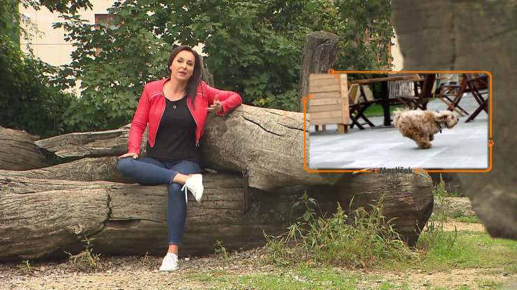 Náhled videa