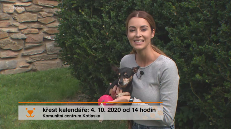 Náhled videa