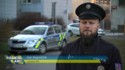 Policie v akci