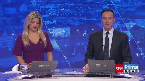 Předvánoční brigády