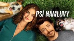 Psí námluvy