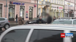 Muž z Děčínska podřízl svého psa