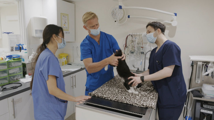 Veterinář z Bondi Beach S11 (15)