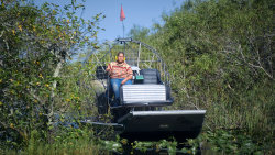 Everglades: Americký klenot