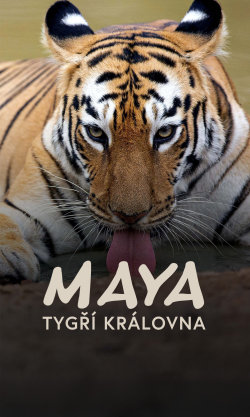 Maya: Tygří královna