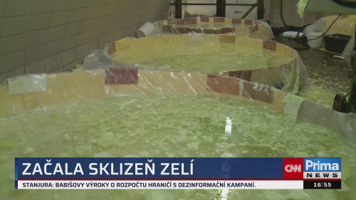 ZPRÁVY Z REGIONŮ - 8.10. v 16:55