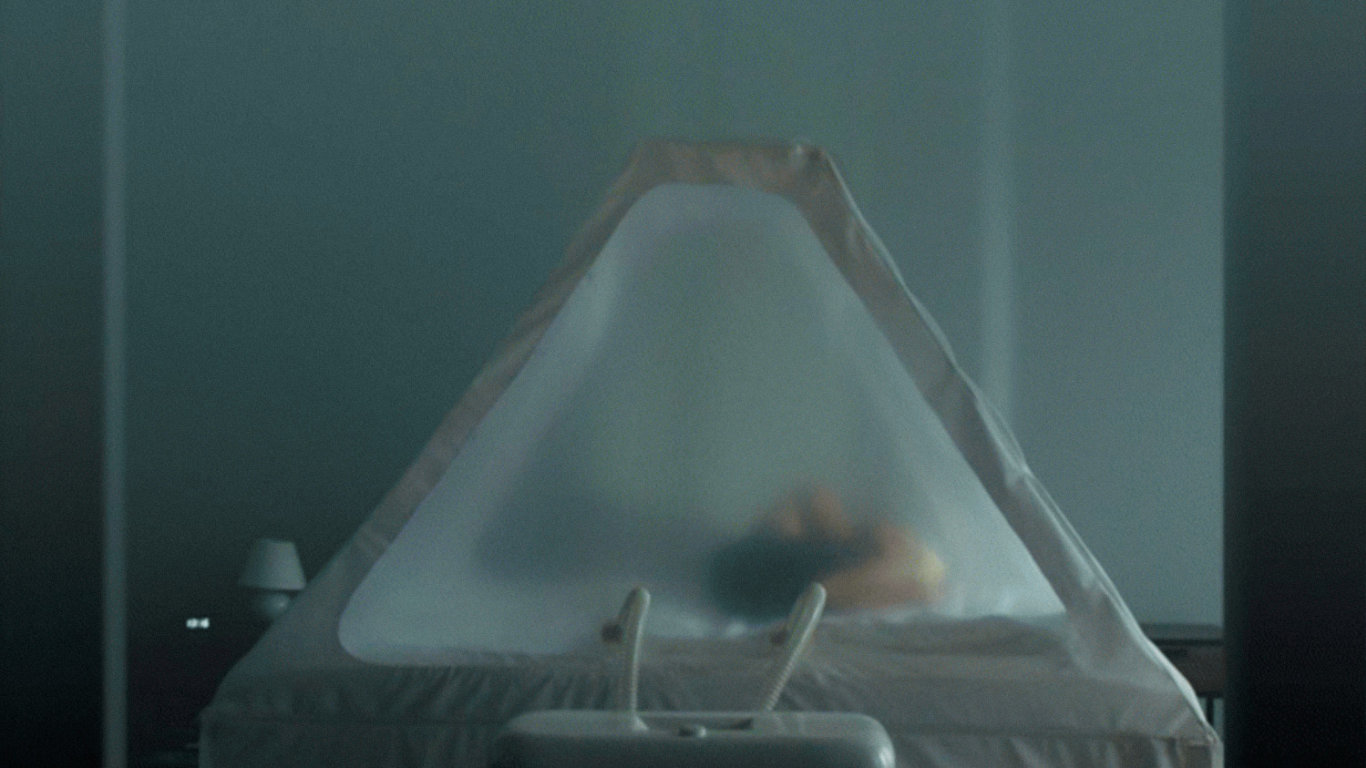 Domestik