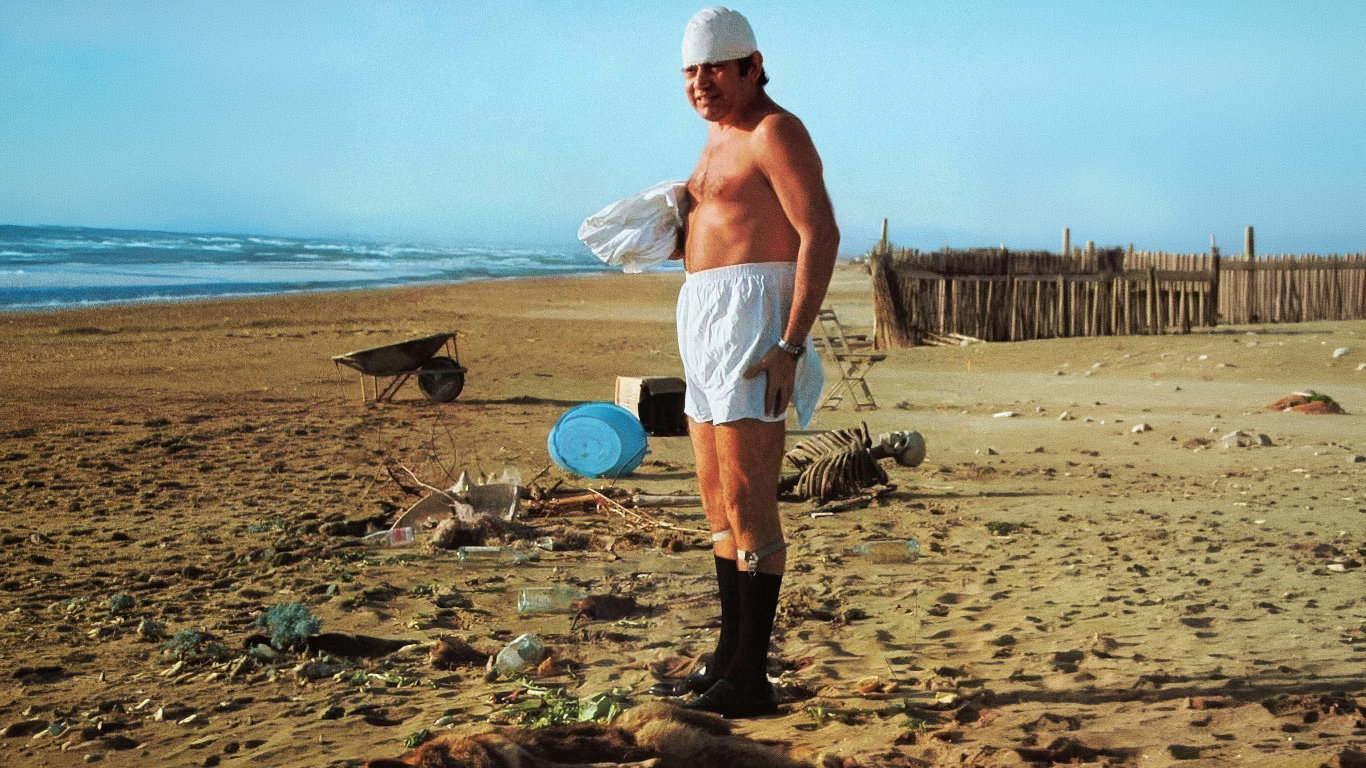 Zrození pana účetního