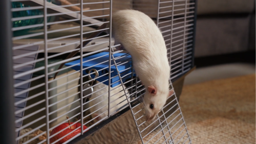 Receptář prima nápadů S24 (3)