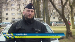 Policie v akci