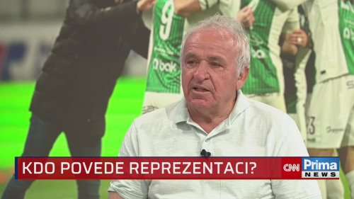 Vízek: Generální manažer reprezentace Nedvěd by měl skončit