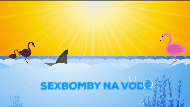 Náhled videa
