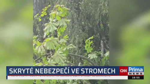 ZPRÁVY Z REGIONŮ, 5.10. v 16:55