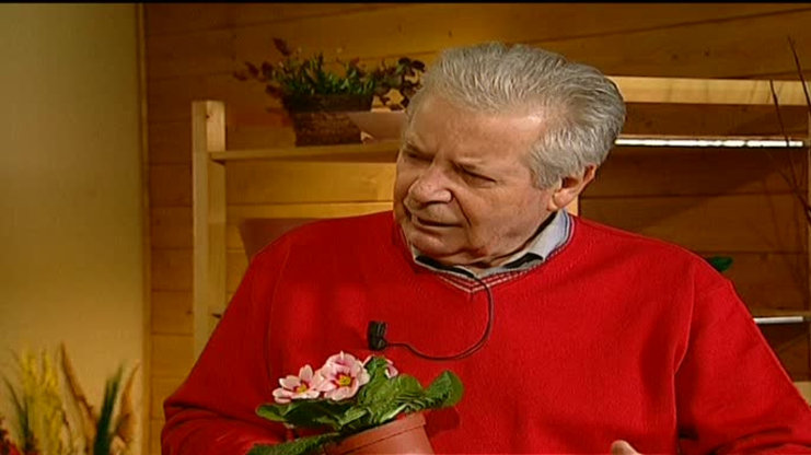 Receptář prima nápadů 2009 (4)