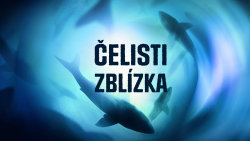 Čelisti zblízka