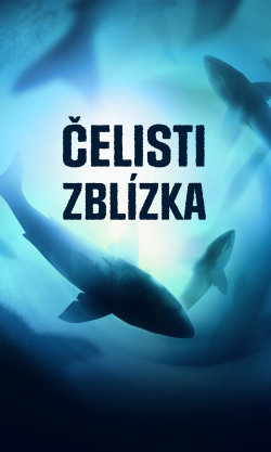 Čelisti zblízka