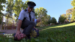 Policie v akci