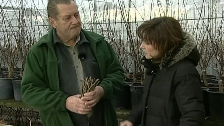 Receptář prima nápadů 2007 (2)