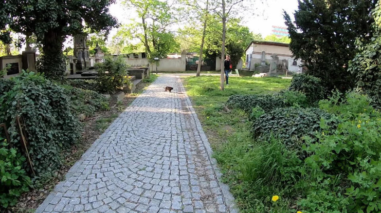 Náhled videa