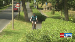 Plzeňským cyklistům vadí keř u cyklostezky
