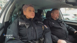 Policie v akci