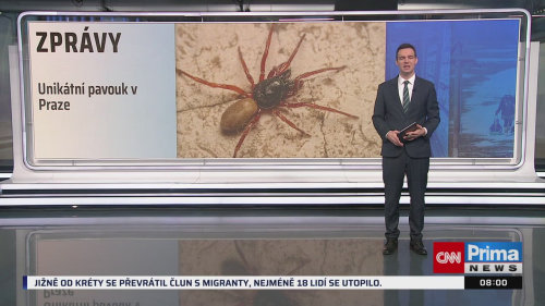 ZPRÁVY, 7.12. v 08:00