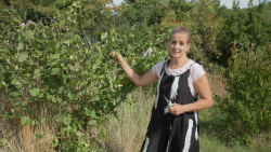 Zahradnice po ruce S1 (8)
