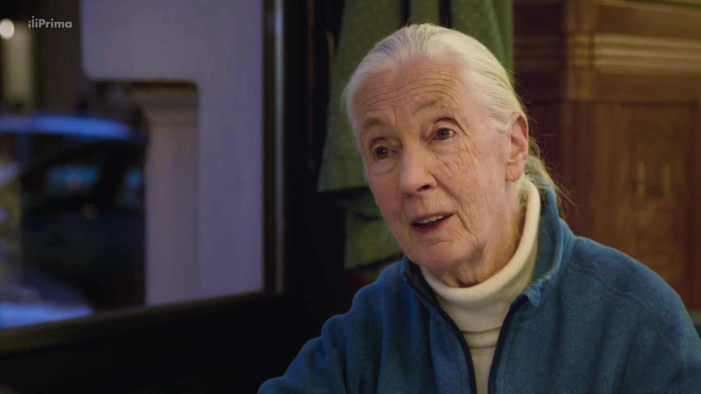 Jane Goodall