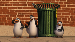 Tučňáci z Madagaskaru