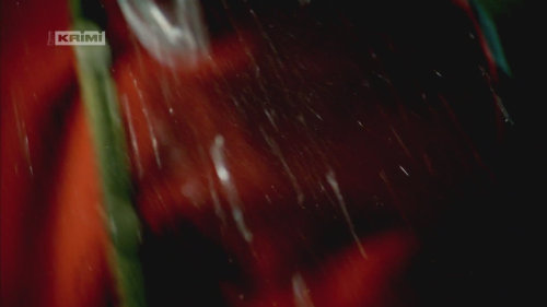 Wallander: O krok pozadu (3) - upoutávka