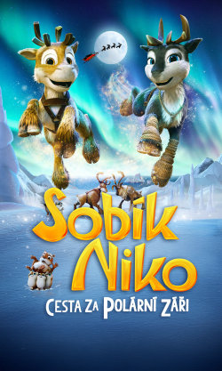 Sobík Niko: Cesta za polární záři