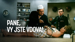 Pane, vy jste vdova!