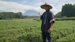 Kasagumo: Strážce nad horou Fudži 