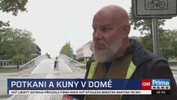 ZPRÁVY Z REGIONŮ - 1.10. v 16:55