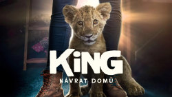 King: Návrat domů