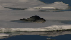 Nejdivočejší místa naší planety